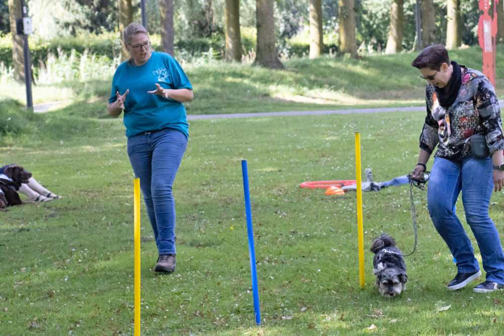 hundetraining-oldenburg